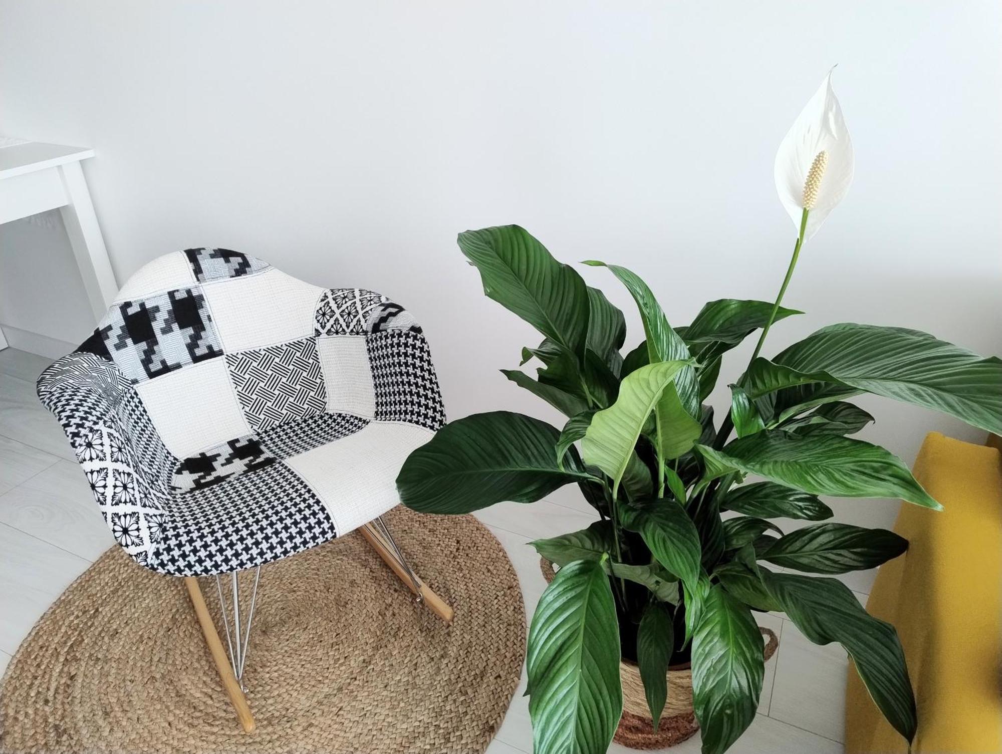 Sowia, Bezplatny Parking, Targi, Faktura Vat Apartment Kielce
